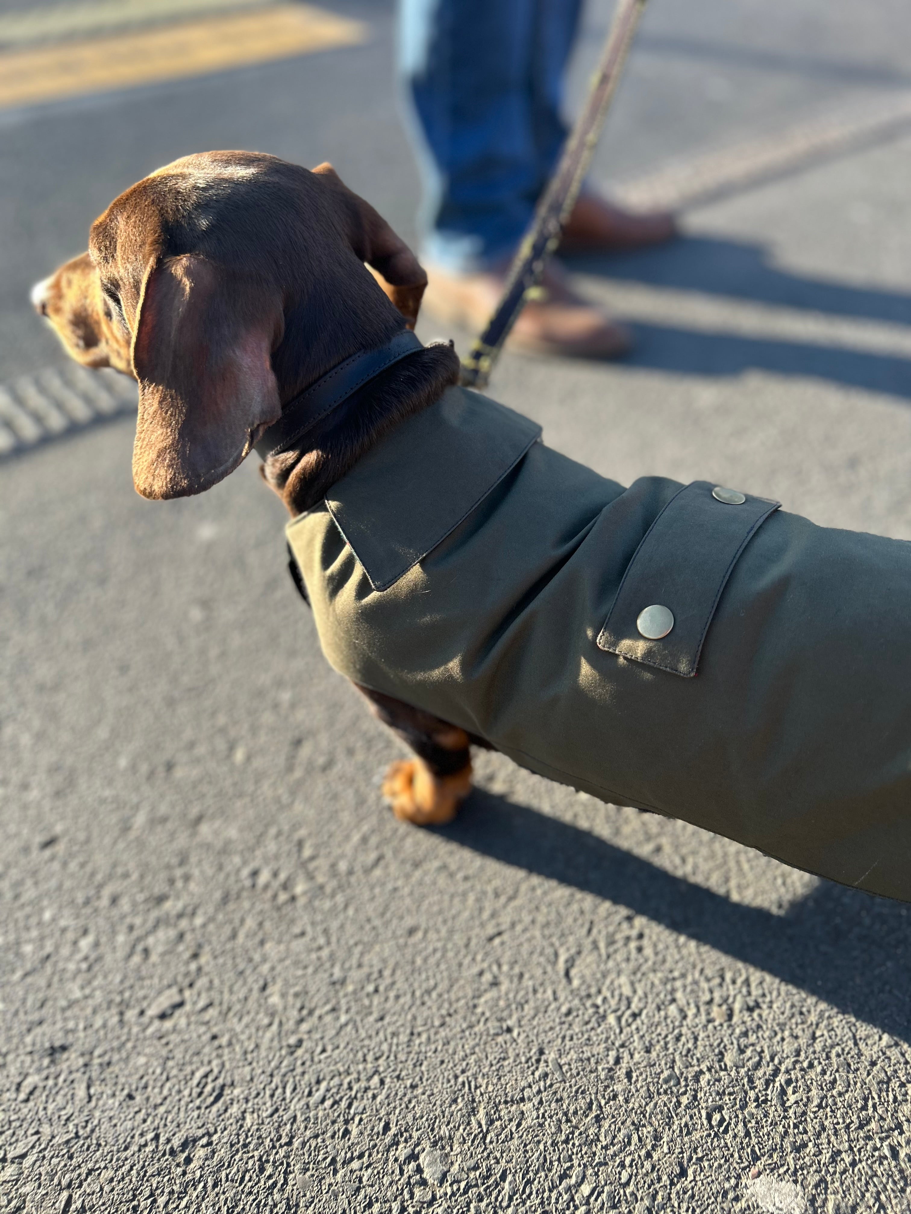 Classic wax raincoat - khaki