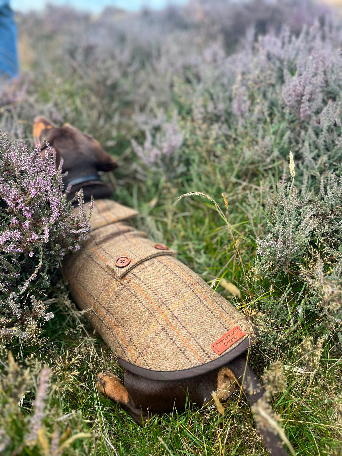 Tan and Orange checked tweed Coat - Autumn '26 Collection
