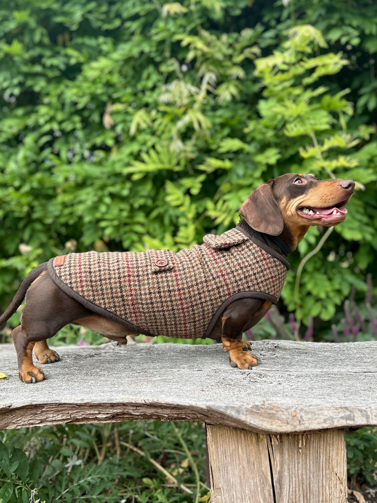 Houndstooth checked tweed Coat - Autumn '26 Collection