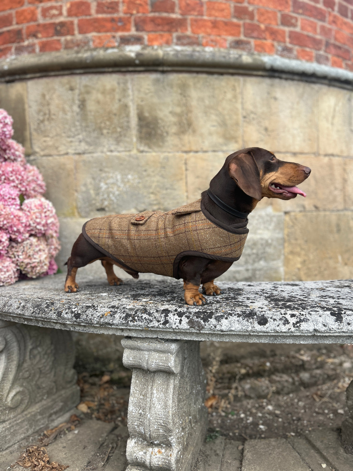 Tan and Orange checked tweed Coat - Autumn '26 Collection