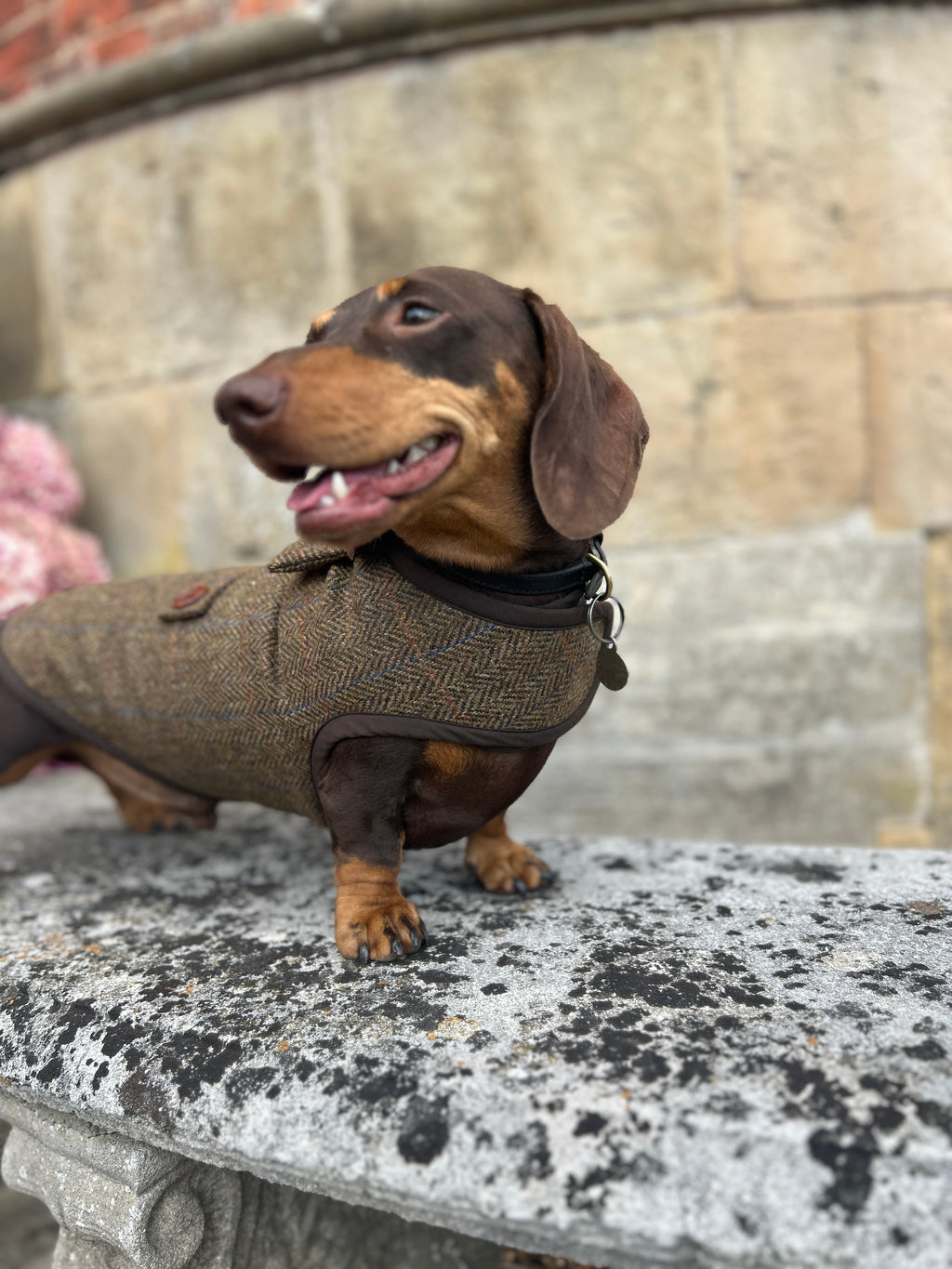 Country Herringbone Tweed Coat - Autumn '26 Collection