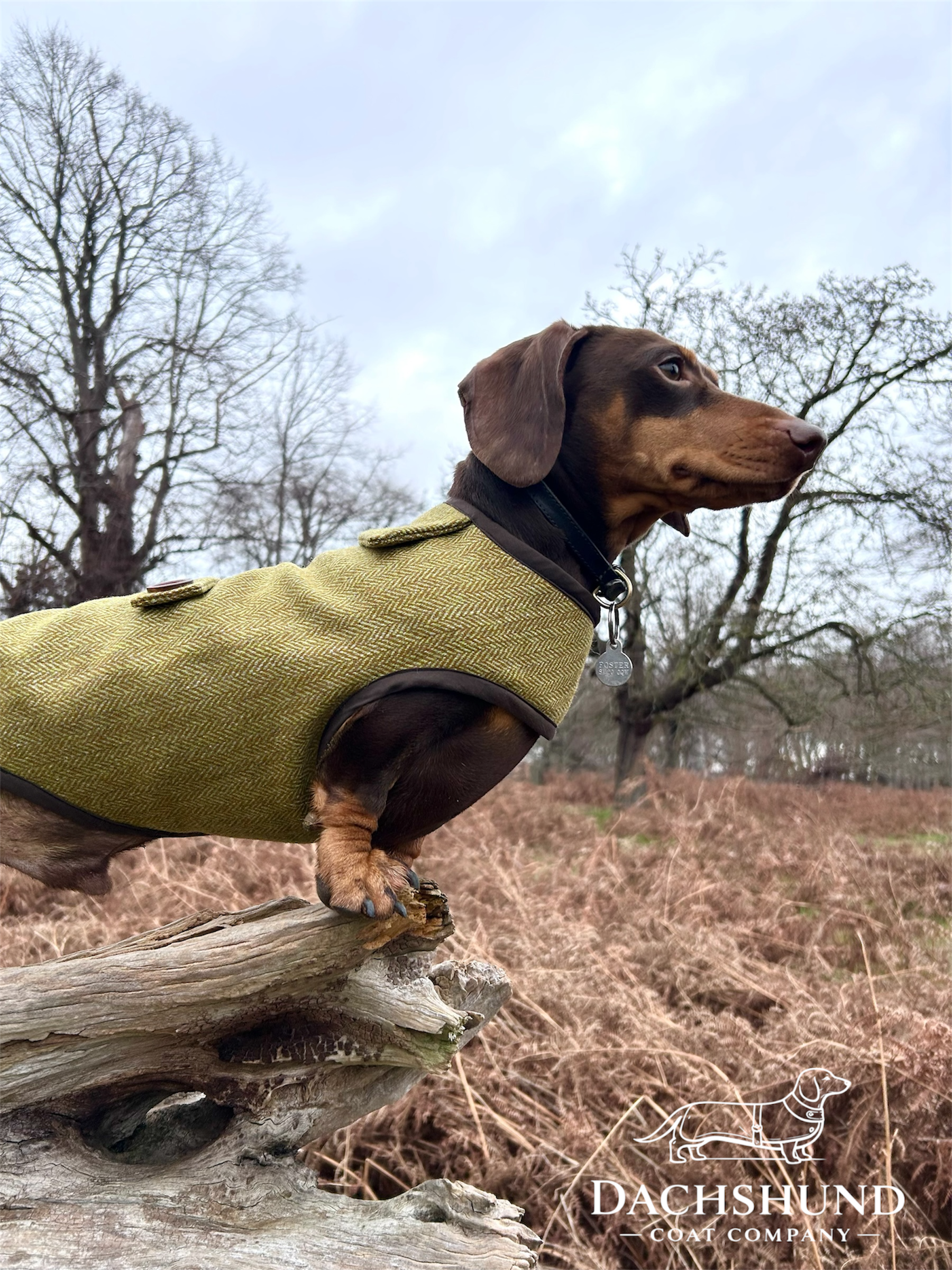 Autumn yellow herringbone tweed coat