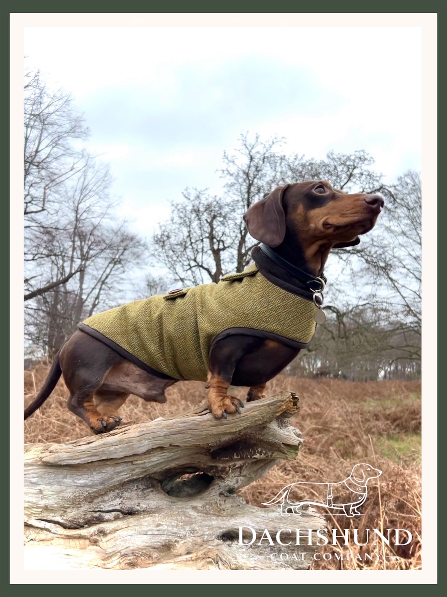 Autumn yellow herringbone tweed coat
