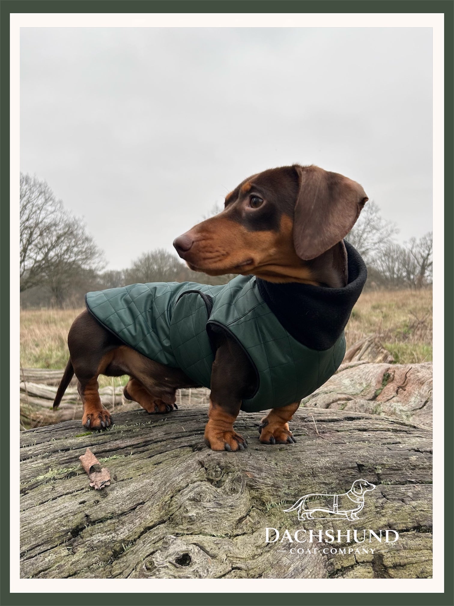 Waterproof Full-body coat | Bottle Green