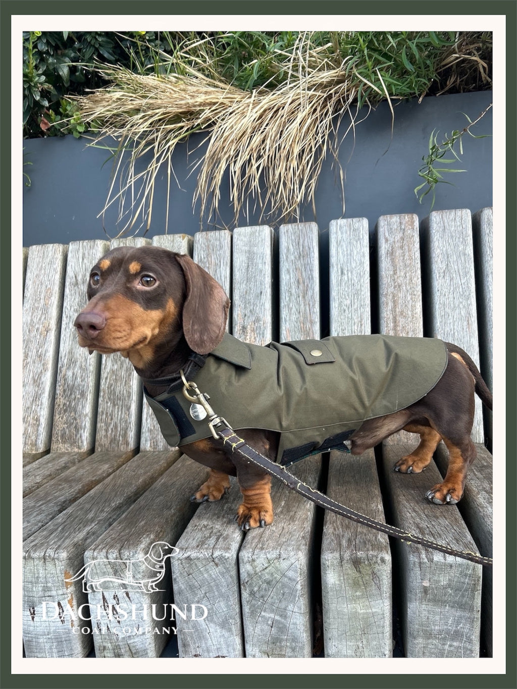 Classic wax raincoat - khaki