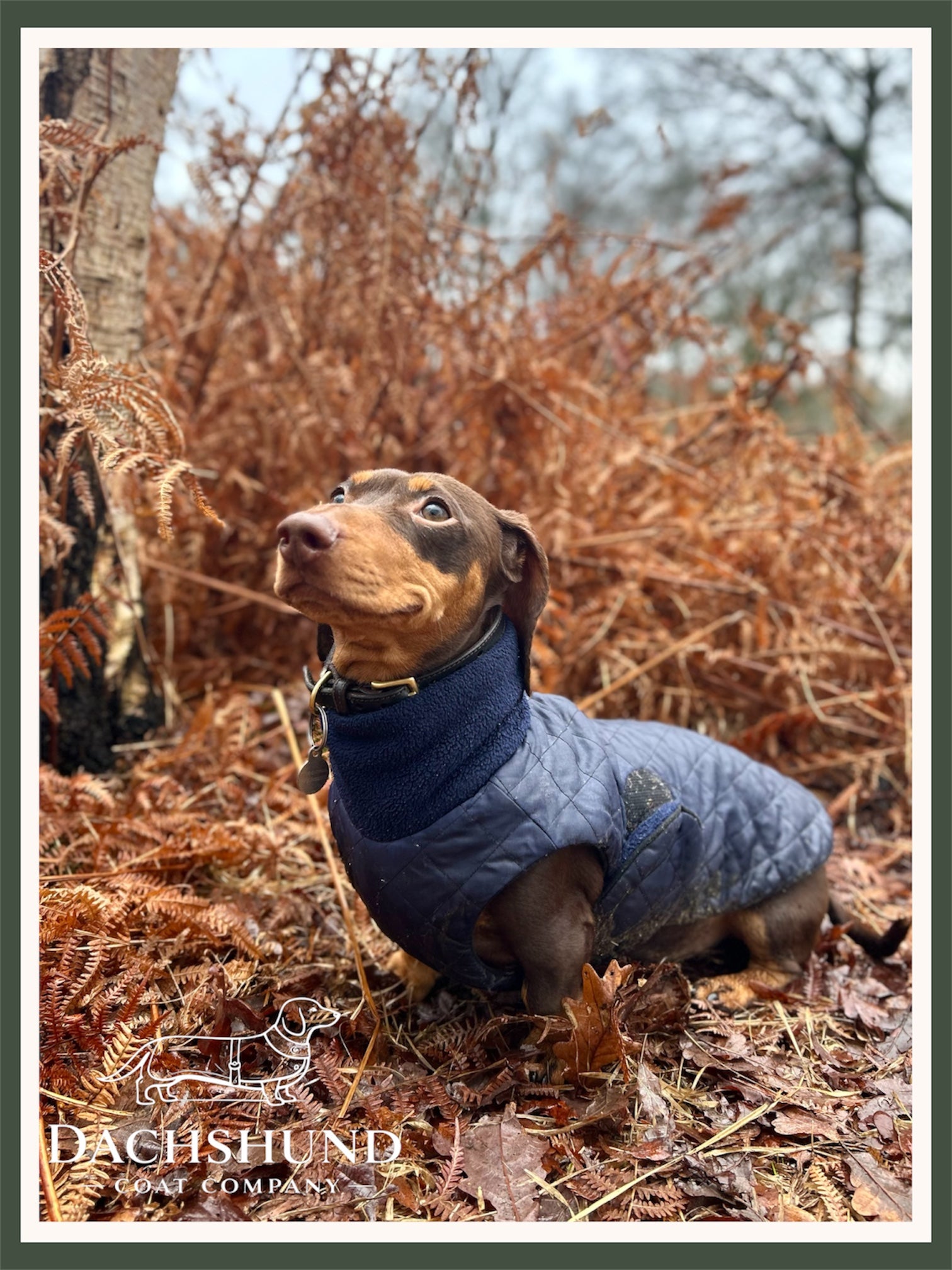 Waterproof full-body coat | Navy Blue