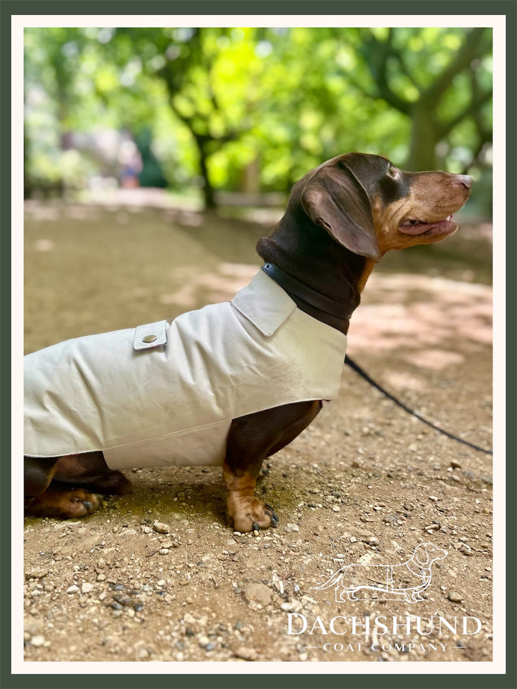 Classic wax raincoat - Cream