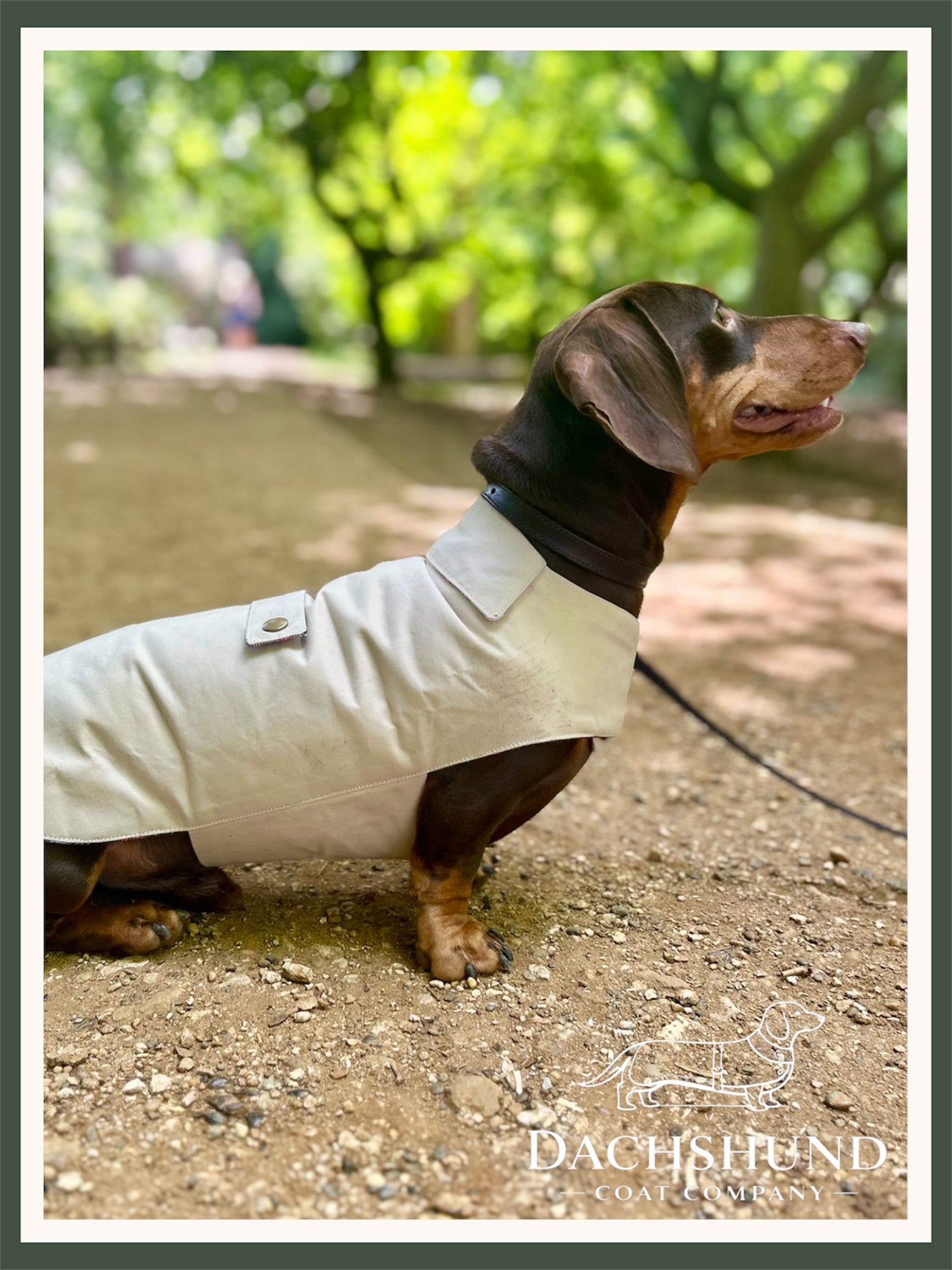 Classic wax raincoat - Cream