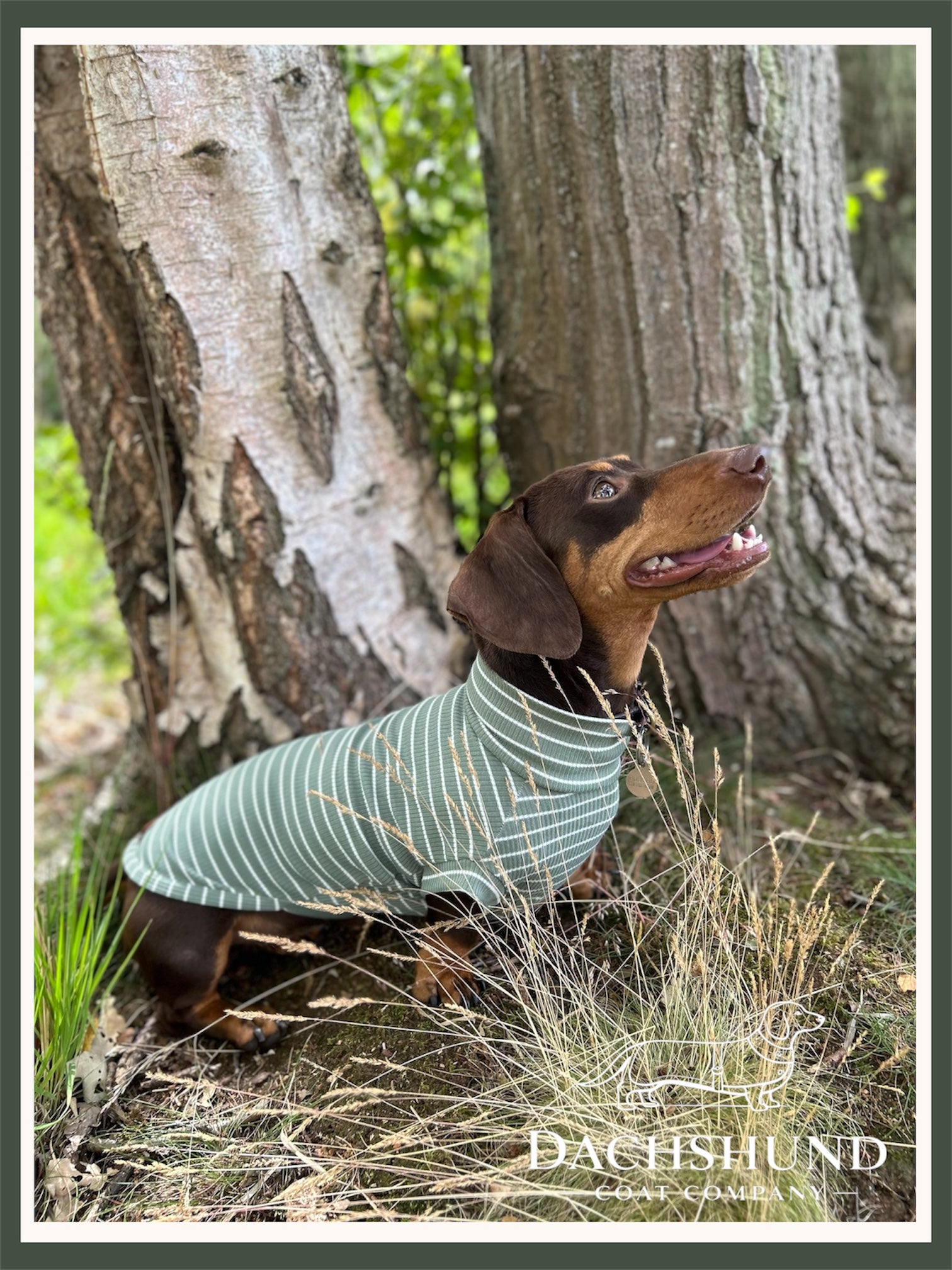 Striped Dachshund Jumper