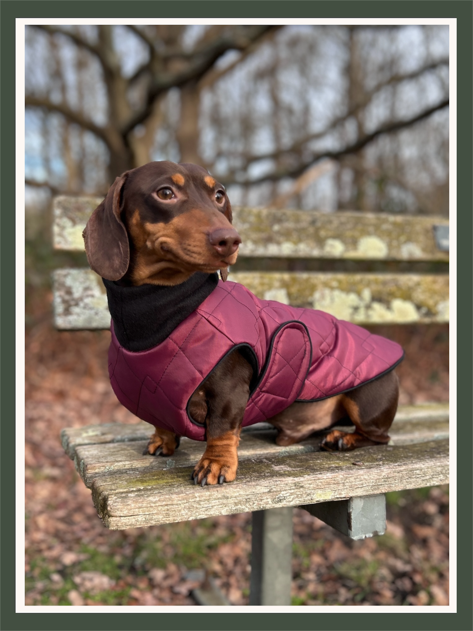 Waterproof full-body coat | Raspberry