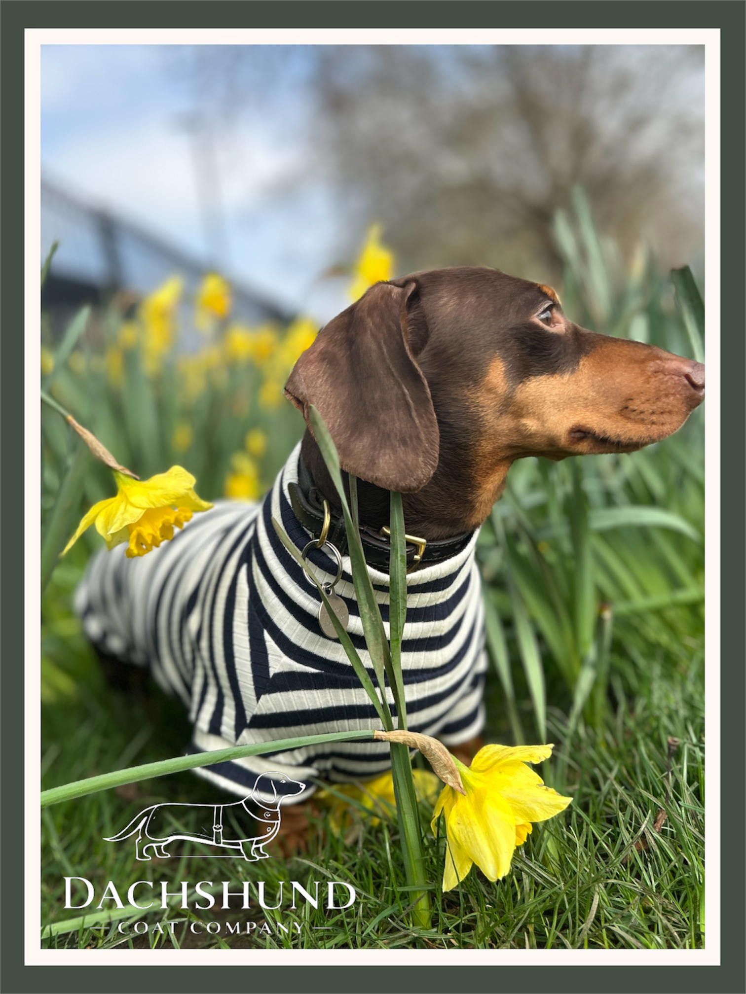 Navy Striped Dachshund Jumper
