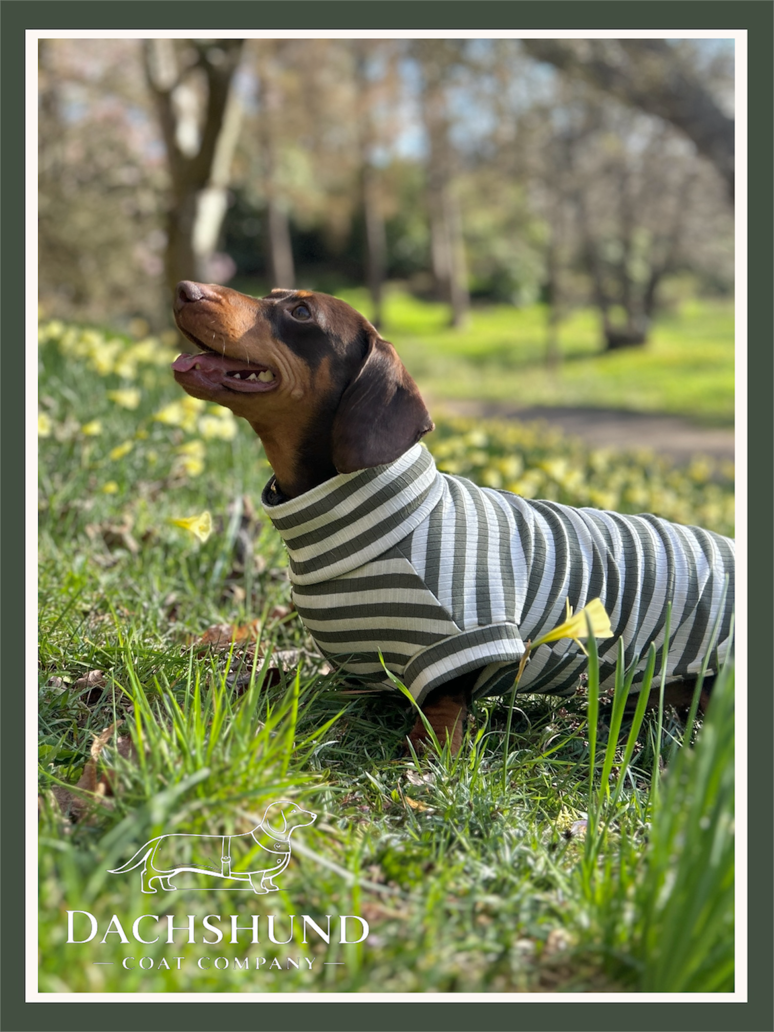 Green Striped Dachshund Jumper