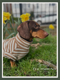 Mocha Striped Dachshund Jumper