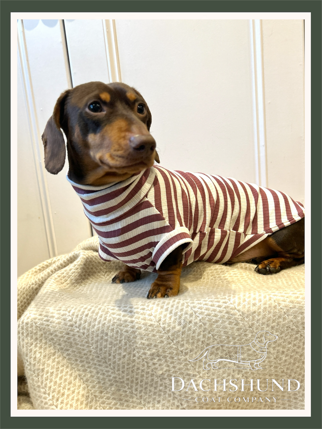 Dusty Rose Striped Dachshund Jumper