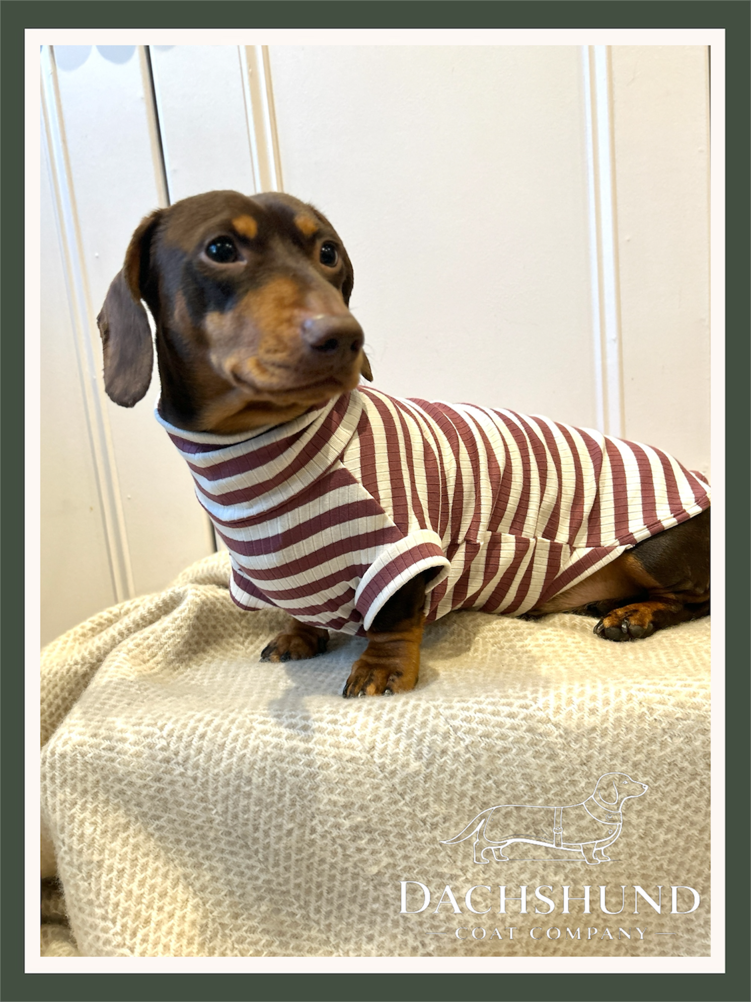 Dusty Rose Striped Dachshund Jumper